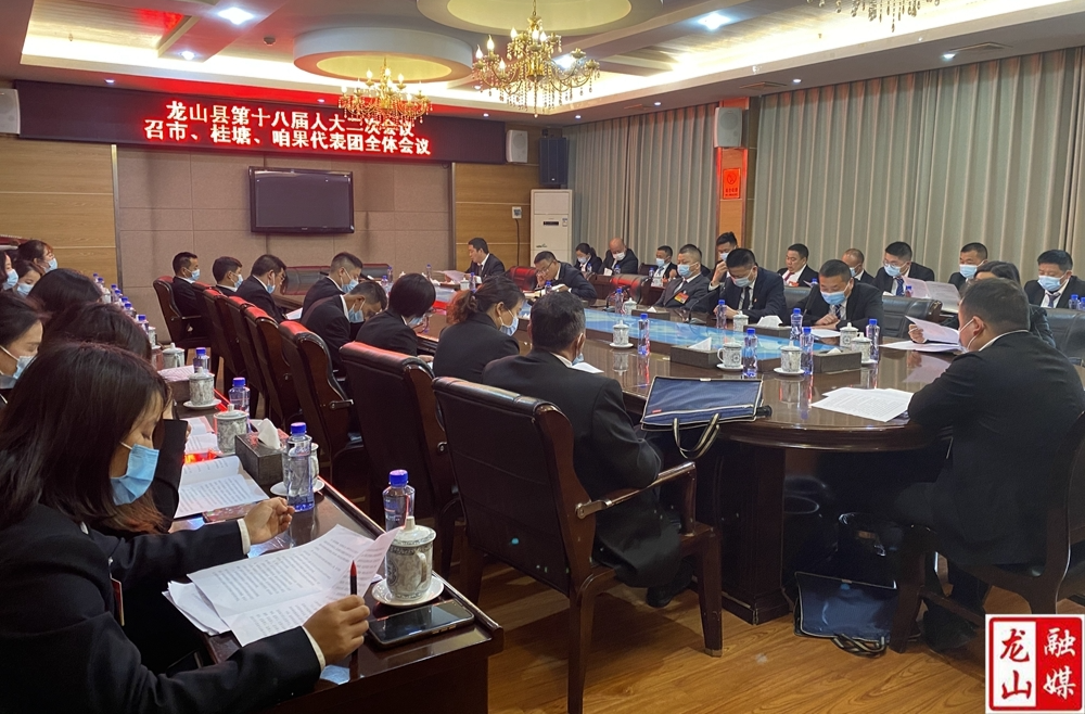 【聚焦龙山县十八届人大二次会议】召市、桂塘、咱果代表团第二次全体会议召开
