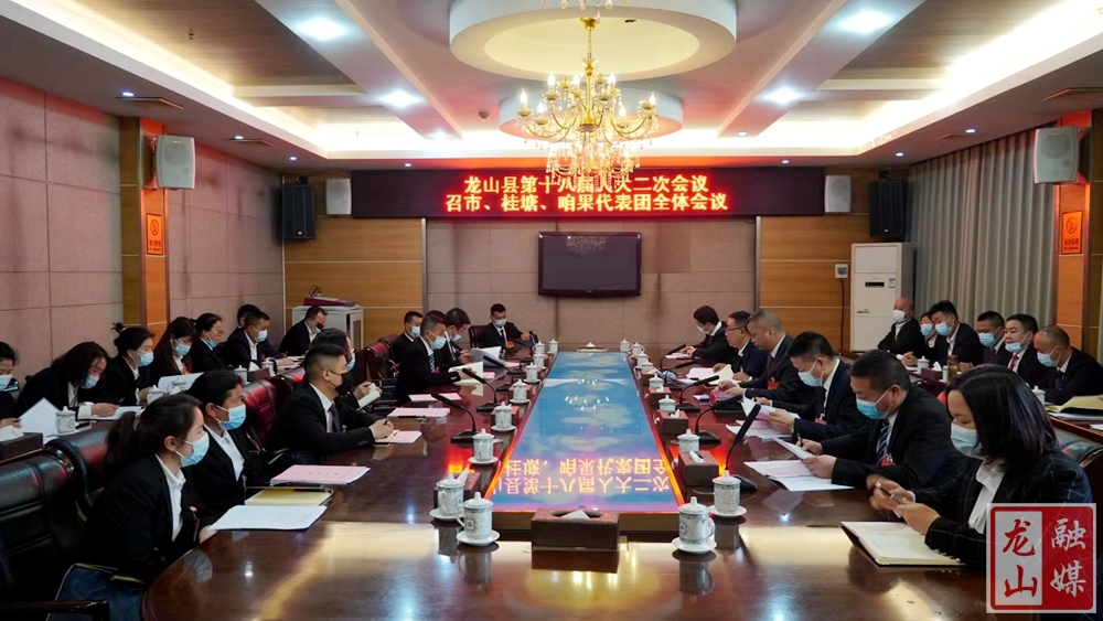 【聚焦龙山县十八届人大二次会议】召市、桂塘、咱果代表团第一次全体会议召开