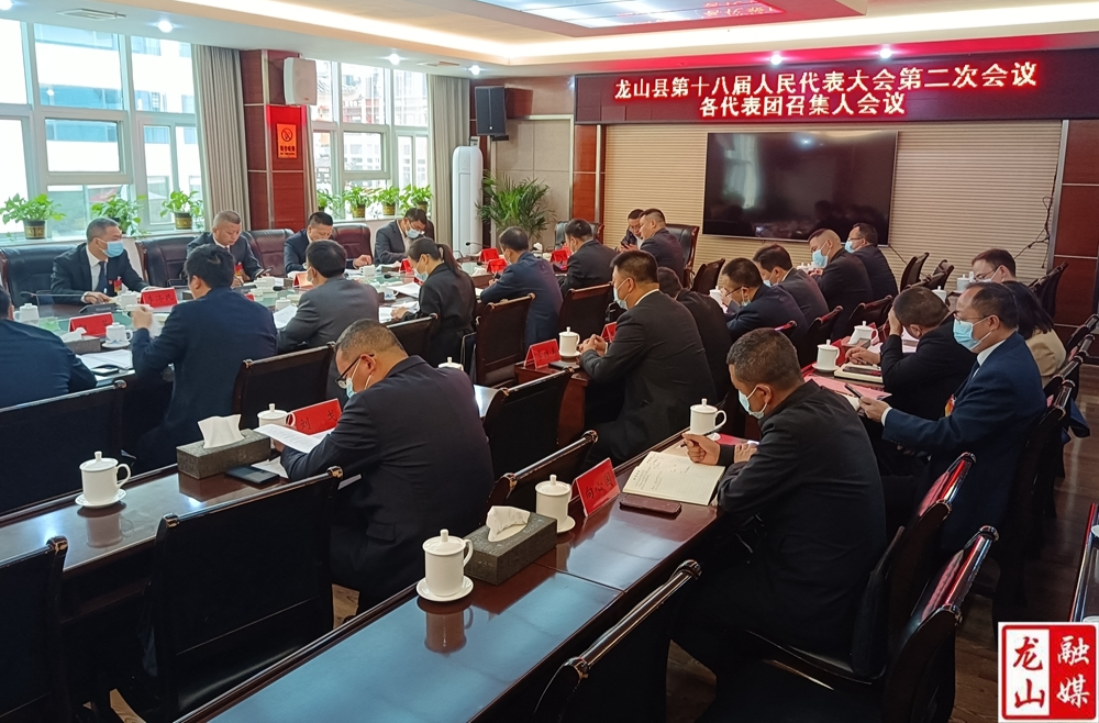 【聚焦龙山县十八届人大二次会议】各代表团召集人会议召开