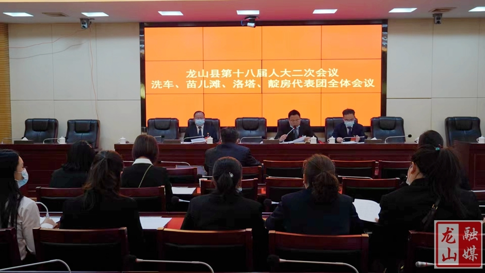 【聚焦龙山县十八届人大二次会议】洗车、苗儿滩、洛塔、靛房代表团第一次全体会议召开