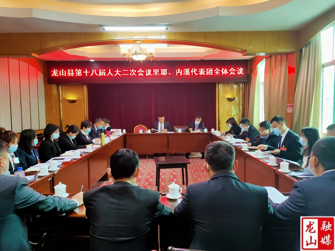 【聚焦龙山县十八届人大二次会议】里耶、内溪代表团举行第五次全体会议