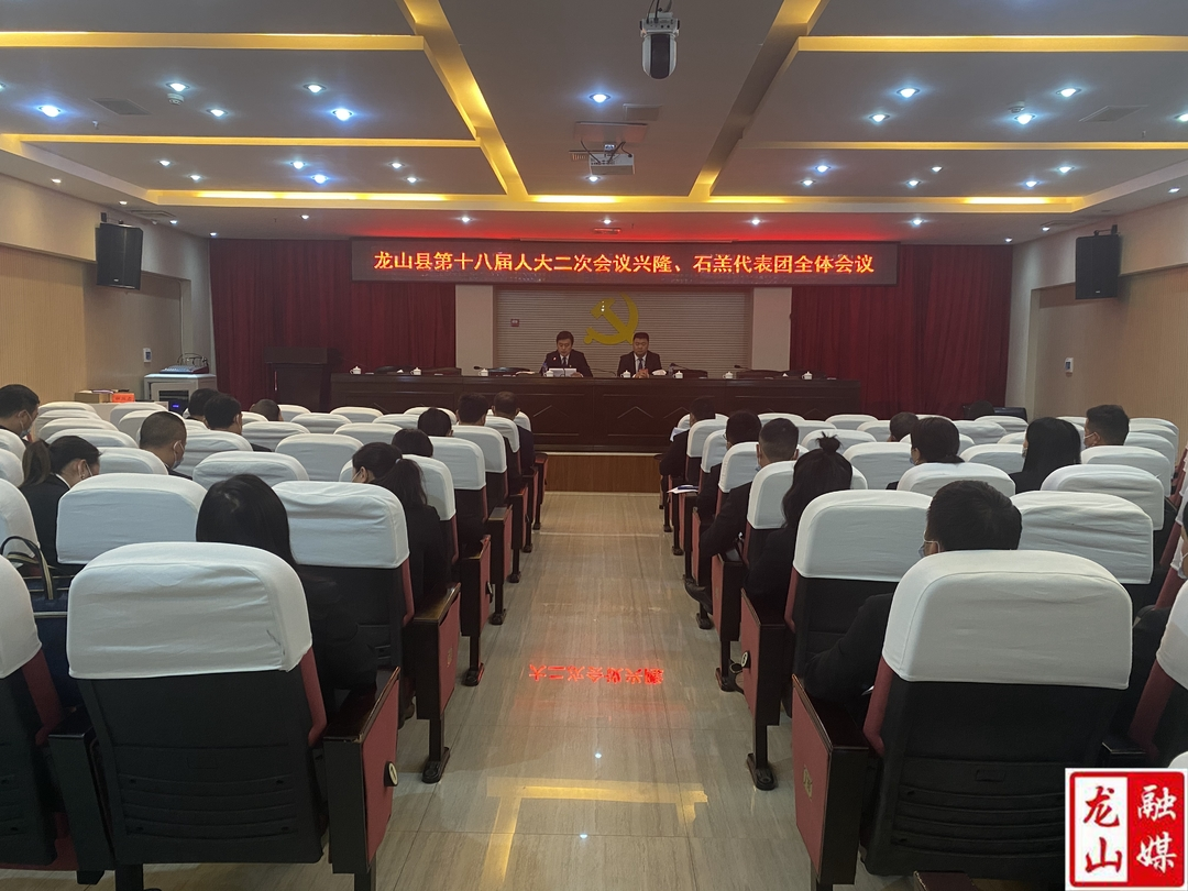 【聚焦龙山县十八届人大二次会议】兴隆石羔代表团第四次全体会议召开