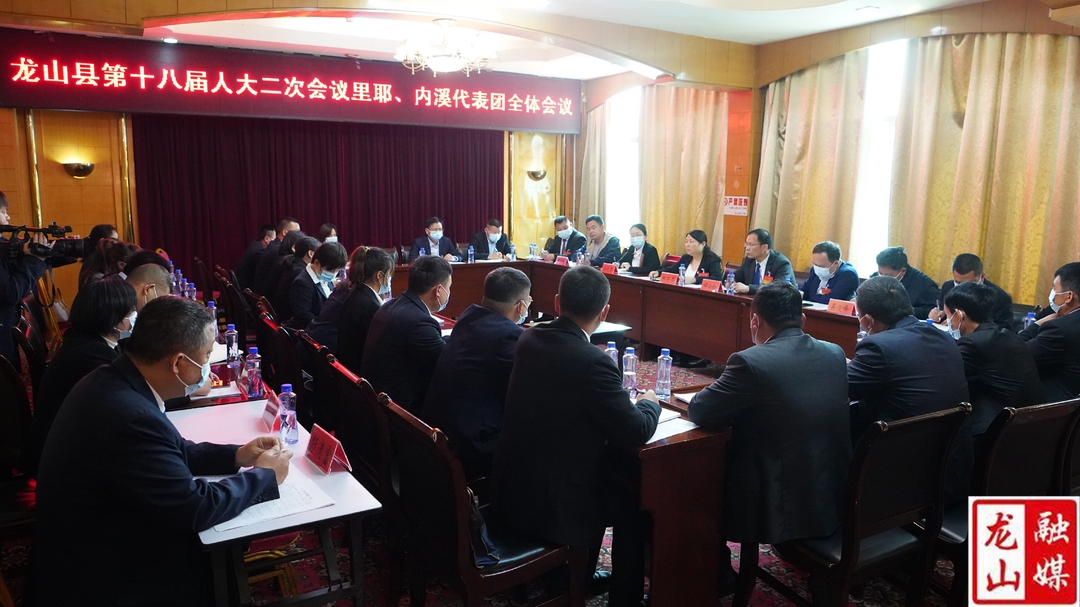 【聚焦龙山县十八届人大二次会议】时荣芬参加民安华塘、里耶内溪代表团讨论