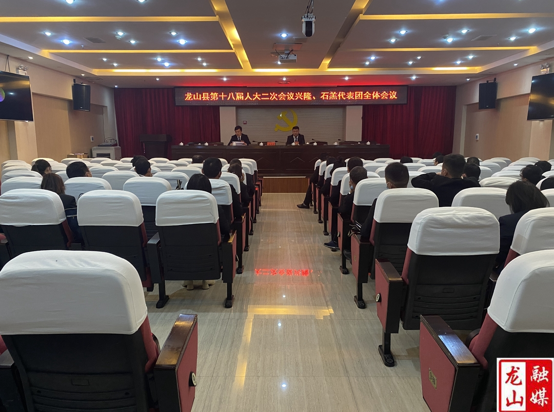 【聚焦龙山县十八届人大二次会议】兴隆石羔代表团第五次全体会议召开