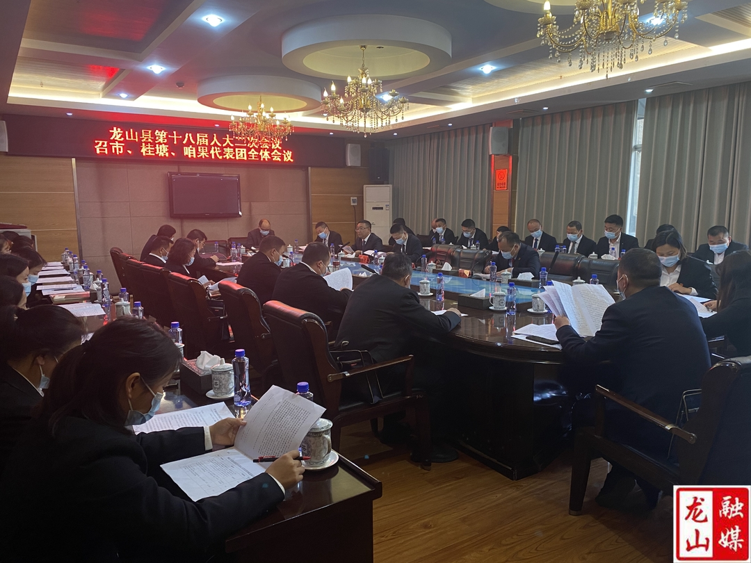 【聚焦龙山县十八届人大二次会议】召市桂塘咱果代表团第三次全体会议召开