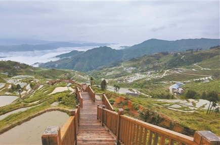 【奋进新征程 建功新时代——老区新貌】红色土地 绿色崛起——怀化革命老区振兴发展见闻