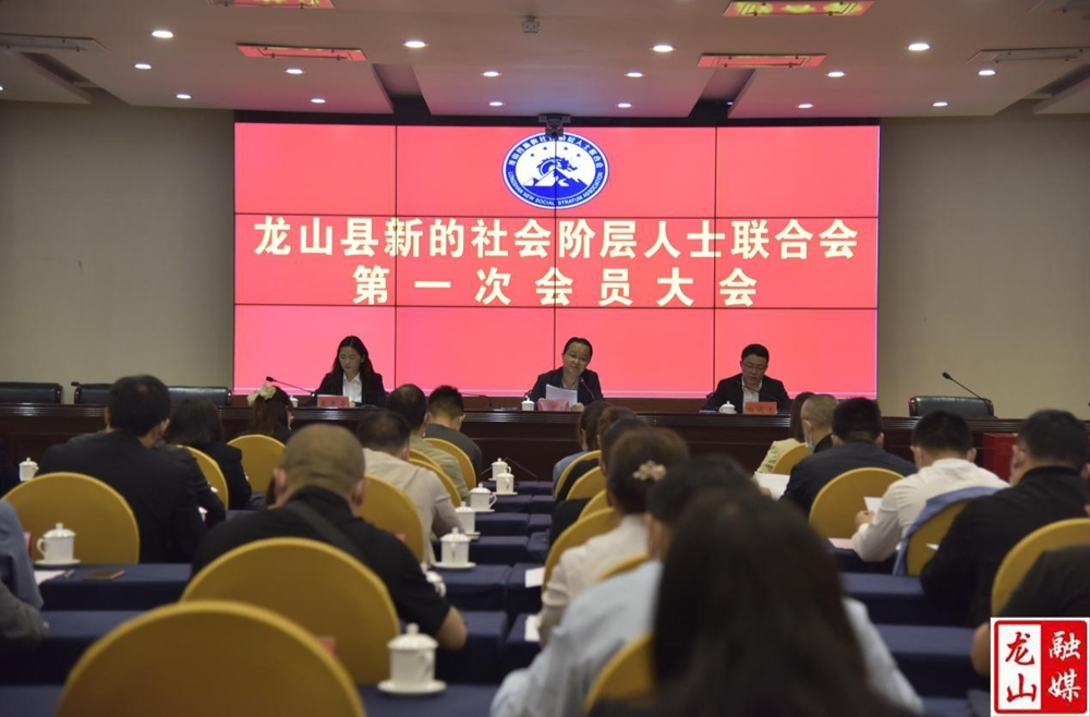 龙山县新的社会阶层人士联合会成立