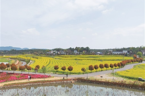 【奋进新征程 建功新时代——老区新貌】星火映沅澧——常德革命老区发展见闻