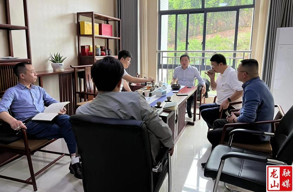 龙山县开展“企业接待日”活动助推“五好”园区创建