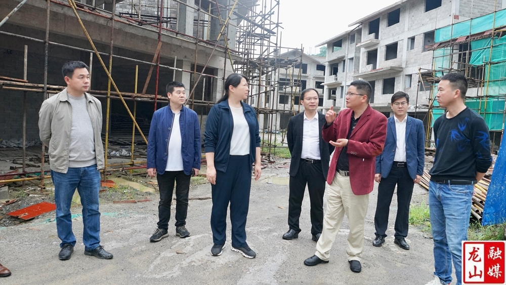 时荣芬在里耶镇调研文化旅游、疫情防控和安全生产工作