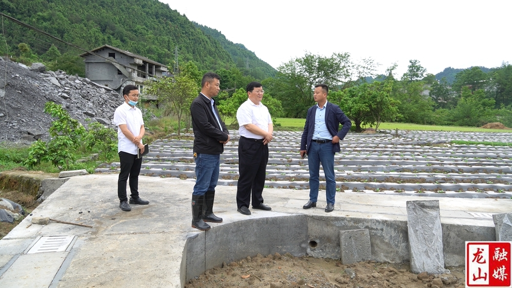 黎新松在红岩溪镇调研督导疫情防控、防汛、农业生产工作
