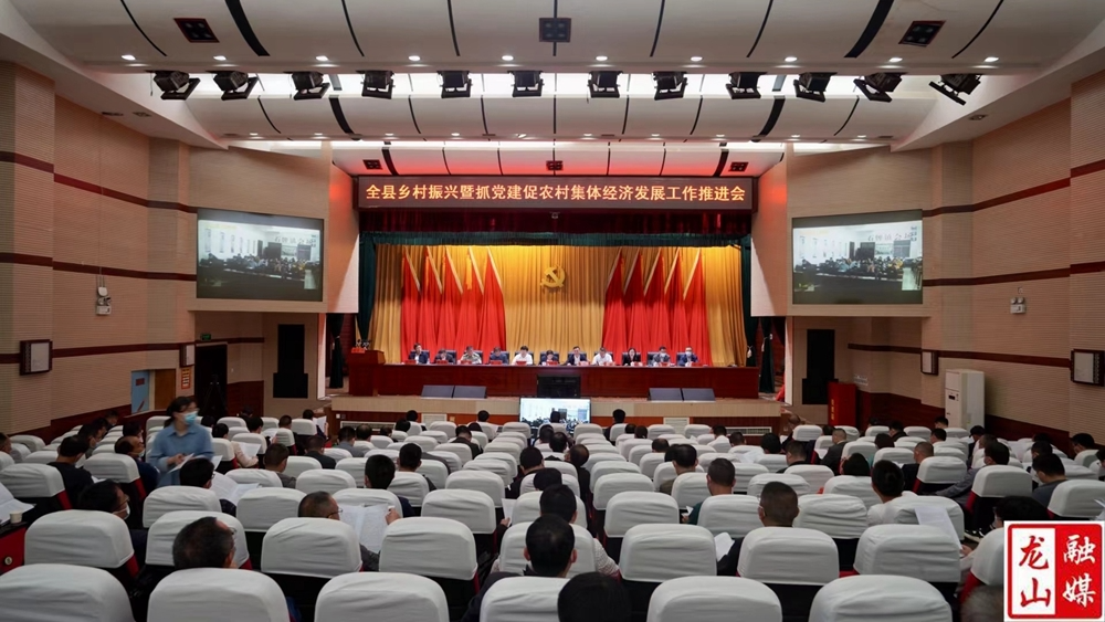 全县乡村振兴暨抓党建促农村集体经济发展工作推进会召开
