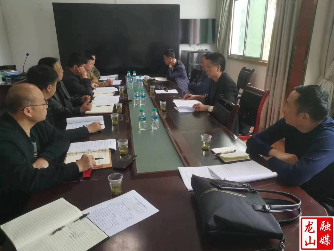 梁海波到苗儿滩镇调研村集体经济和生态环境保护工作