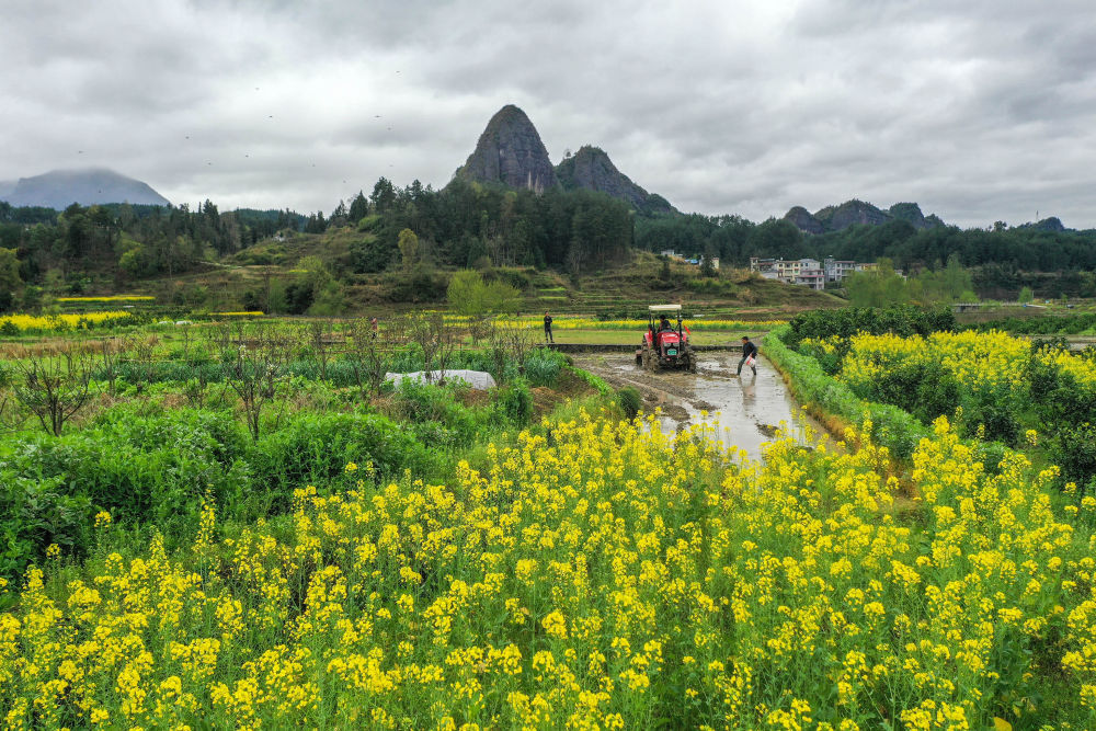 老区新貌｜湘鄂渝黔革命老区：擦亮红色底色　阔步新征程