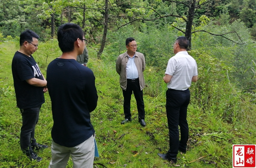 【利剑行动】李延堃督查尾矿库闭库治理工作