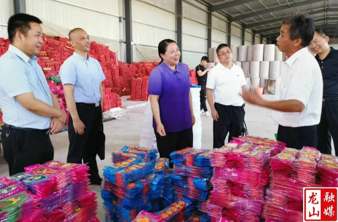 吴凌频到龙山县调研重点项目、重点企业等工作