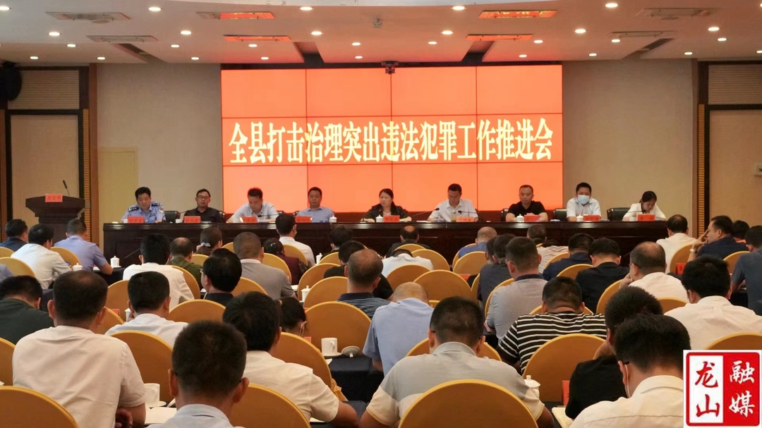 全县打击治理突出违法犯罪工作推进会召开