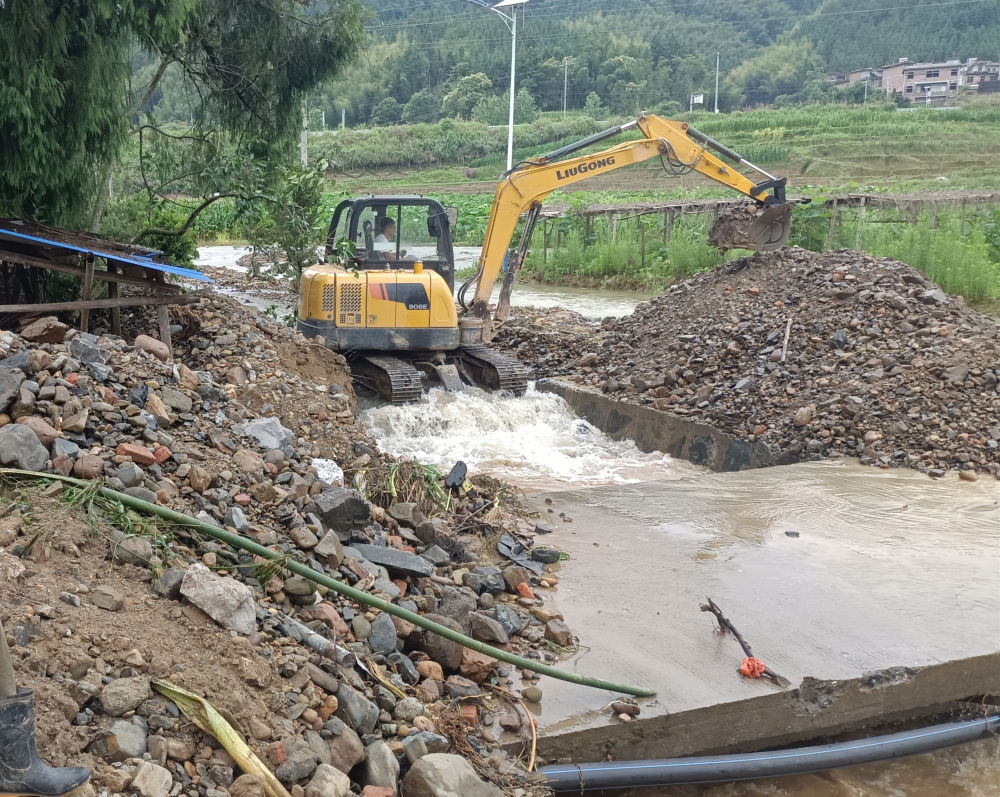 新华全媒+丨争分夺秒 抢种补种——湖南洪涝灾区农业生产恢复一线见闻