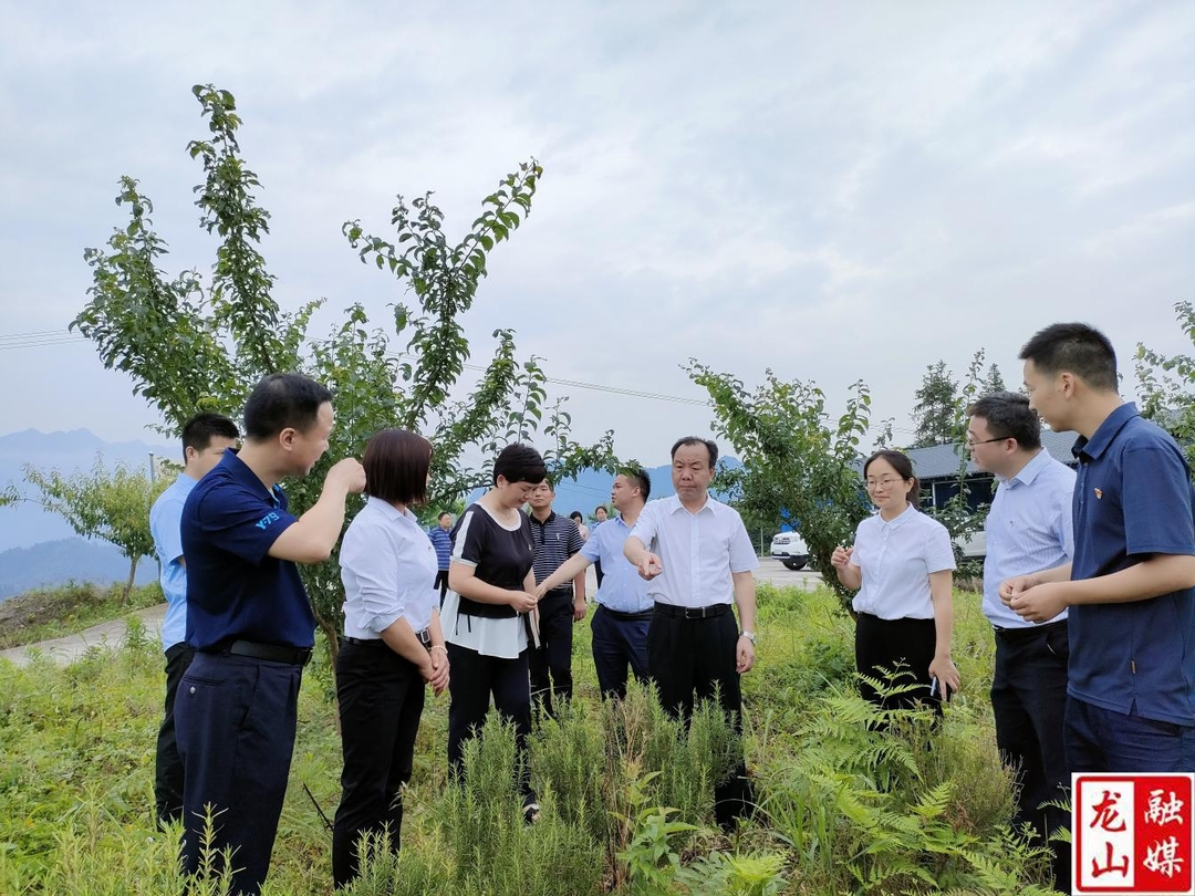 周燕飞到内溪乡调研指导乡村振兴工作