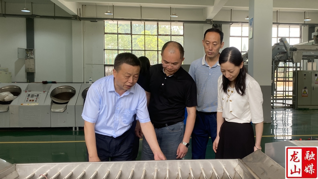 宁乡经开区一行调研对口帮扶工作暨主题党日