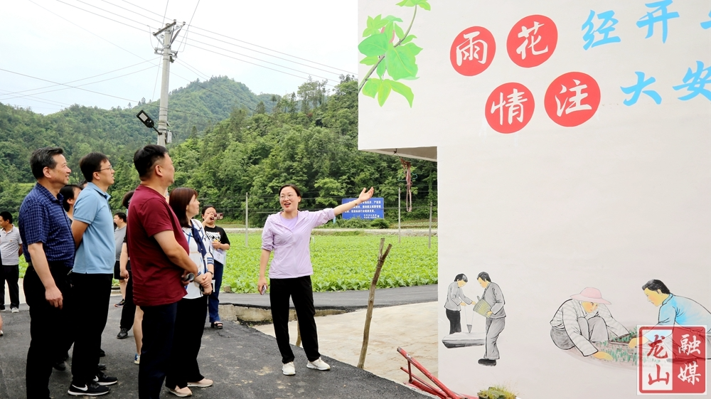 马栏山视频文创园一行到大安乡调研乡村振兴工作