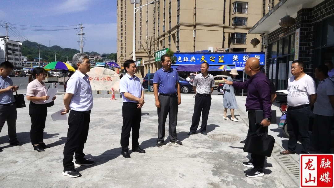 州政协副主席祝期祥来龙山开展重点提案办前调研