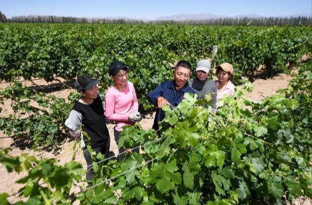 总书记和人民心贴心丨“总书记的真心关怀，暖到了人的心窝子里”