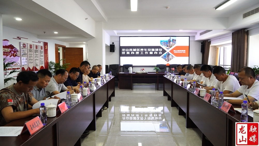 【喜迎二十大·全域文明创建在行动】黄勇督办城市停车场建设议案