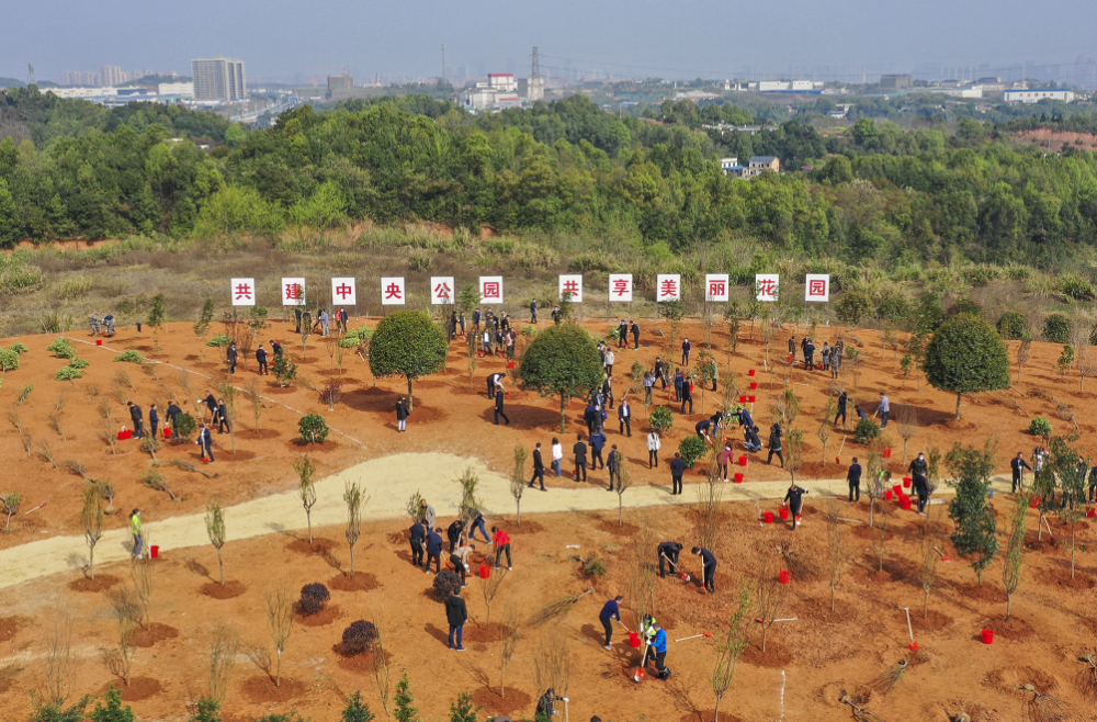 伟大变革|“一寸都不能少”——湖南铁腕守护长株潭城市群“绿心”