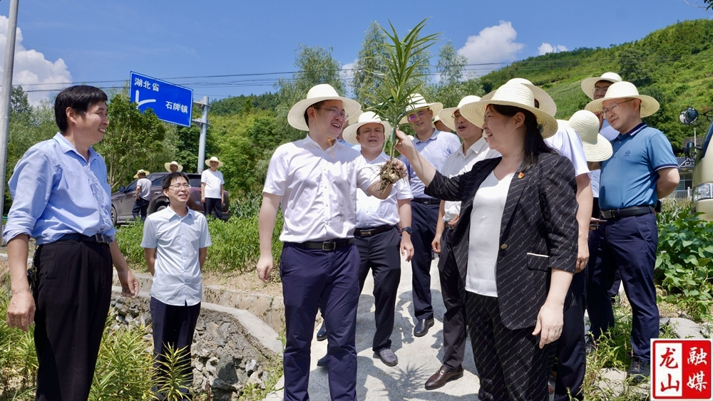 黄军其一行来龙山石牌镇调研乡村振兴对口帮扶工作