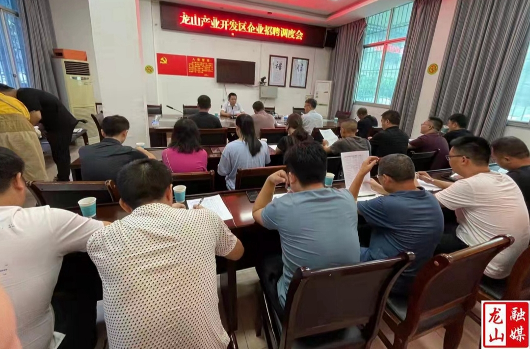 龙山县召开企业招聘调度会