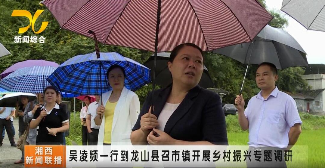 【联播视频】吴凌频一行到龙山召市镇开展乡村振兴专题调研