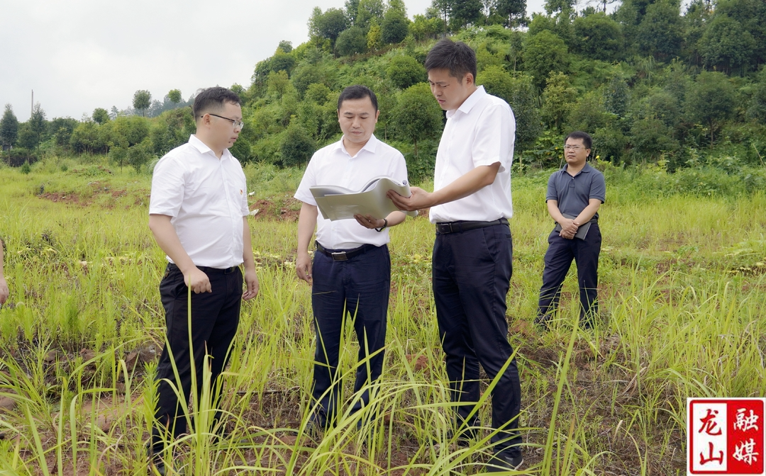 【利剑行动】周胜益到城区调研重点项目建设、人居环境整治等工作