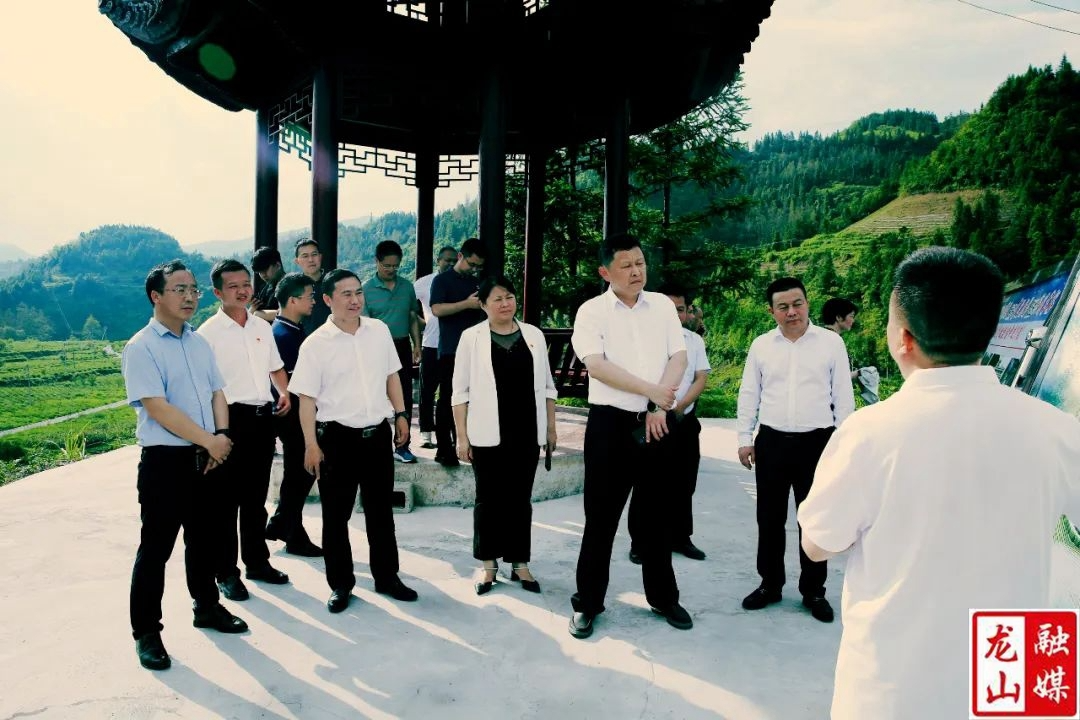 张毅带队深入红岩溪镇调研指导对口帮扶工作