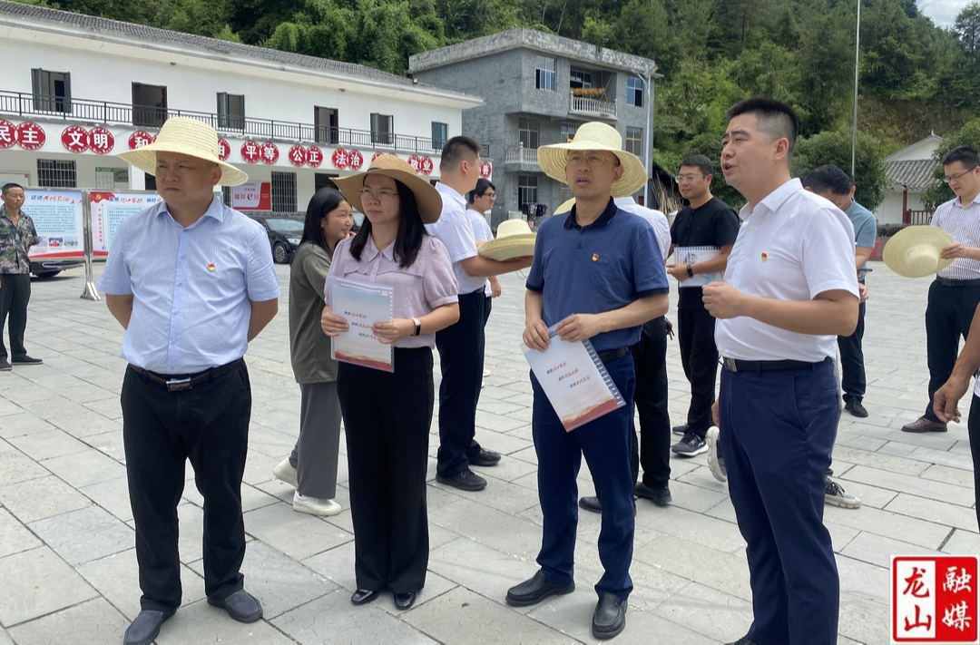 长沙县委组织部一行来水田坝镇调研对口帮扶工作