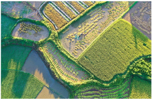 湖南：高质量发展闯新路 展现新作为新担当