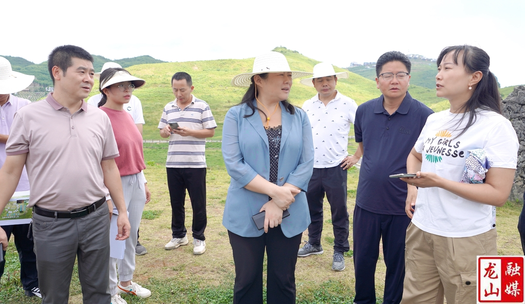 【湖南省(龙山)夏季乡村文化旅游节】时荣芬调度2022年湖南（龙山）夏季乡村文化旅游节筹备情况