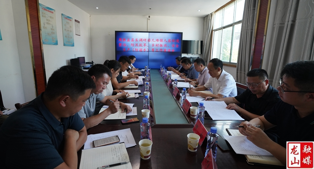 【利剑行动】周胜益到苗儿滩镇调研人居环境整治、安全生产、防汛抗旱、乡村振兴等工作