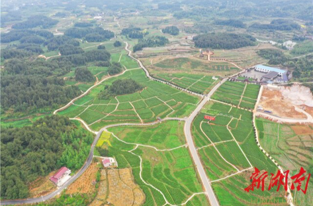 【“好评湘西”网络作品】“百里苗疆” 宜居宜业宜游——花垣县推进巩固拓展脱贫攻坚成果同乡村振兴有效衔接