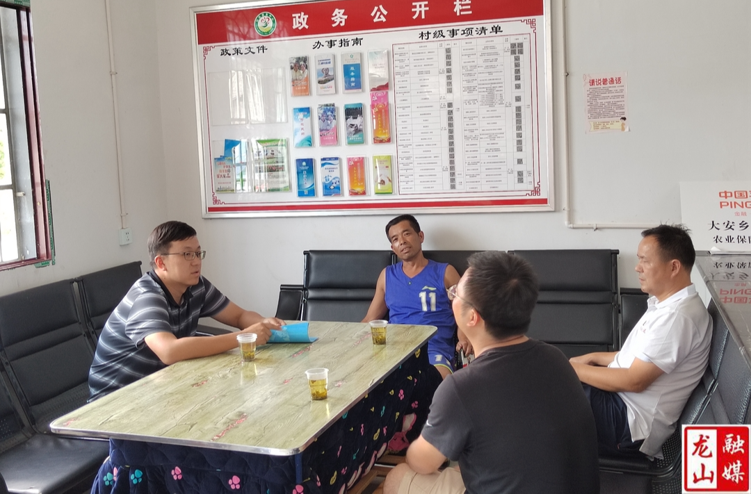 向怿文到大安乡调研乡村振兴等工作