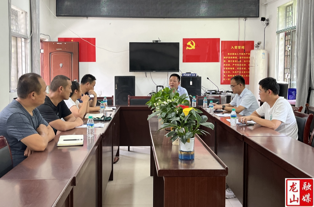 田光治到洗车河镇调研乡村振兴等工作