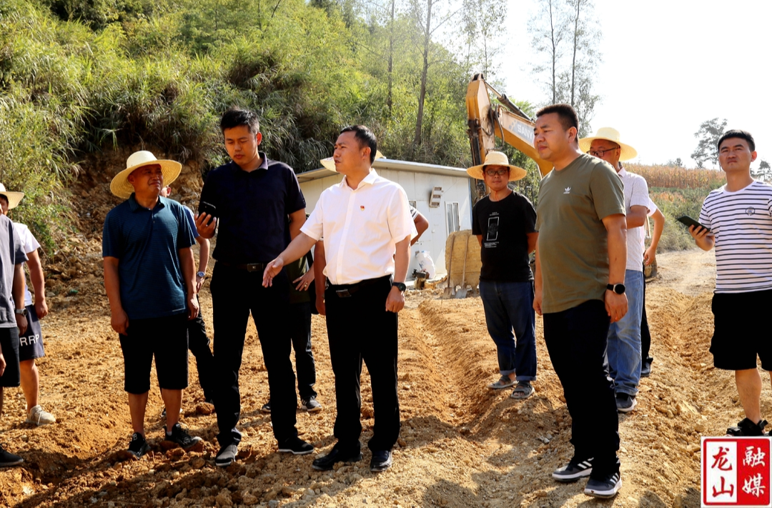 【利剑行动】周胜益到兴隆街道、茨岩塘镇调研乡村振兴、防汛抗旱、安全生产、土地增减挂、疫情防控等工作