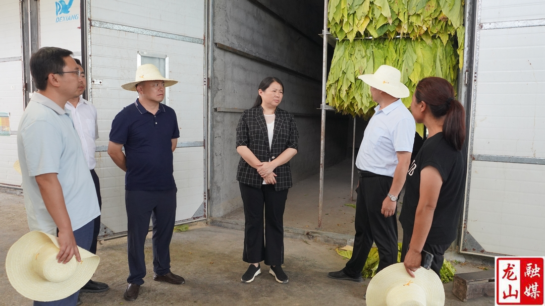时荣芬调研督导防旱抗旱和乡村振兴工作