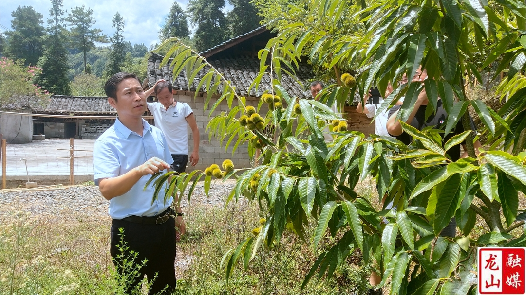 余志国到洛塔乡泽果村调研产业建设及抗旱救灾工作
