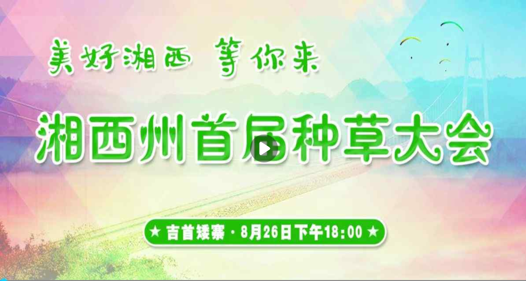 【湘西融媒直播】湘西州首届种草大会