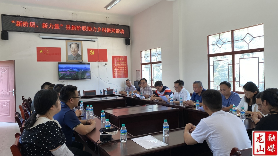 龙山县新的社会阶层人士乡村振兴工作站挂牌仪式举行暨“新阶层·新力量”县新阶联助力乡村振兴