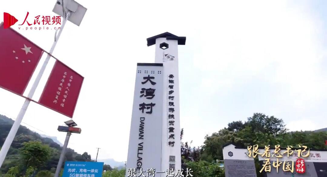 跟着总书记看中国｜大湾振兴进行曲