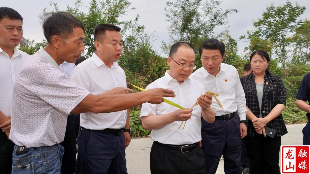 吴宏耀来县调研督导抗高温干旱、保秋粮等工作