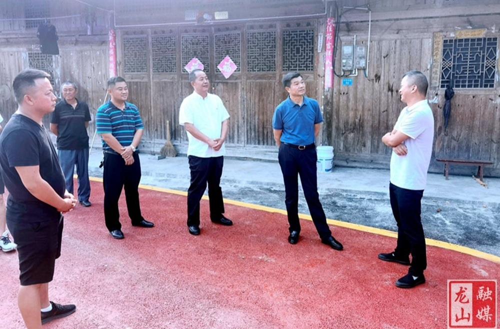 龚明汉来县调研乡村振兴工作和人大代表联络站建设情况