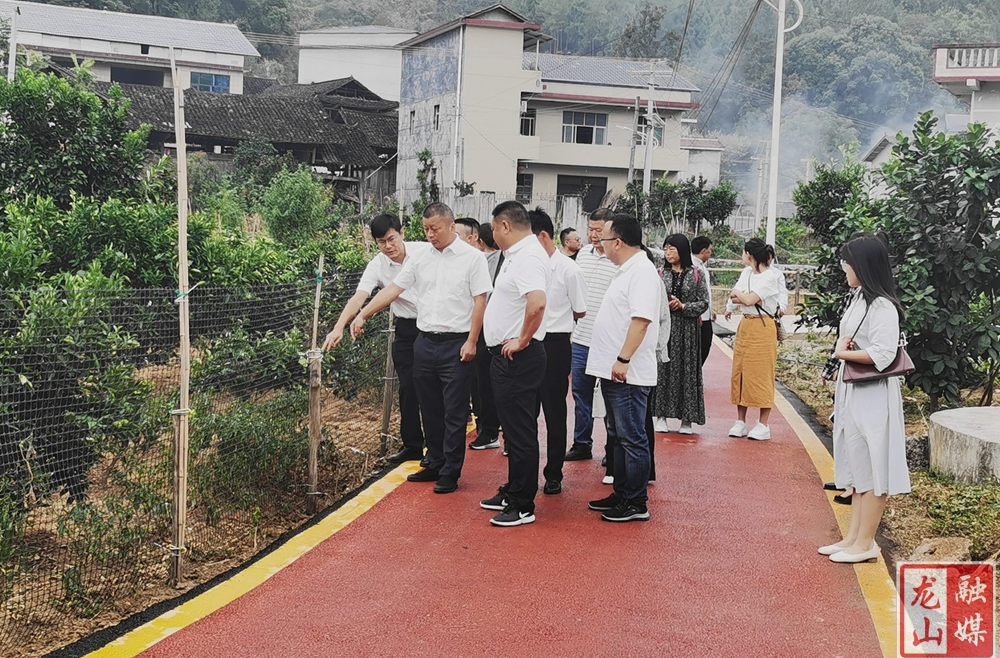 黄勇参加里耶镇人大代表小组“深入基层察民情、服务群众办实事、聚力喜迎二十大”主题活动